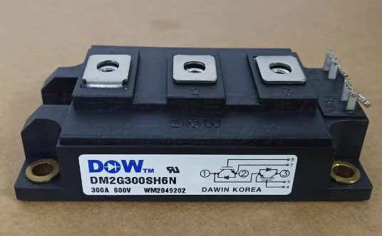 DSE12x101-12a  EZL-06130119  DM2G200sh6n